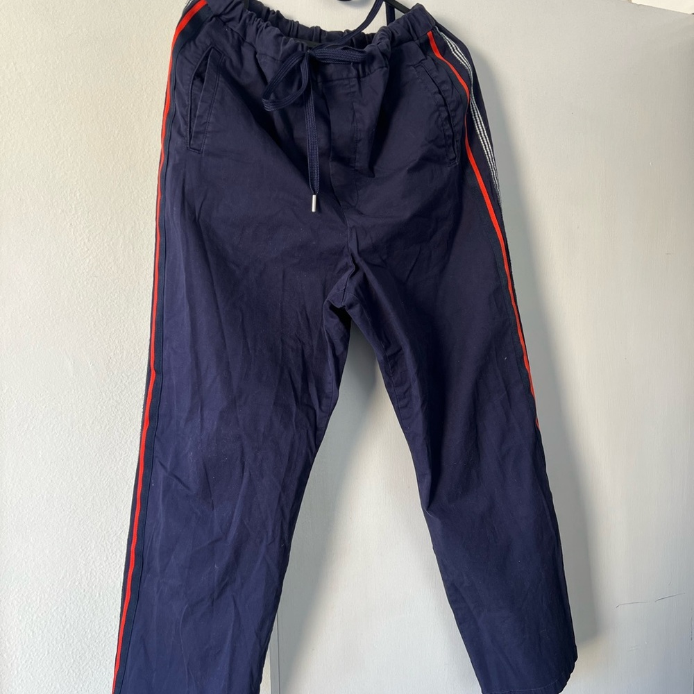 Maeve by Anthropologie Navy Blue Pants with Red Stripe